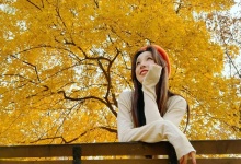 衡阳茶香，养生之道尽显